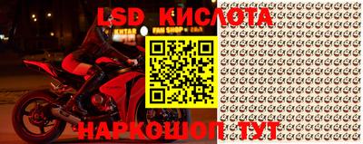 прущие грибы Конаково