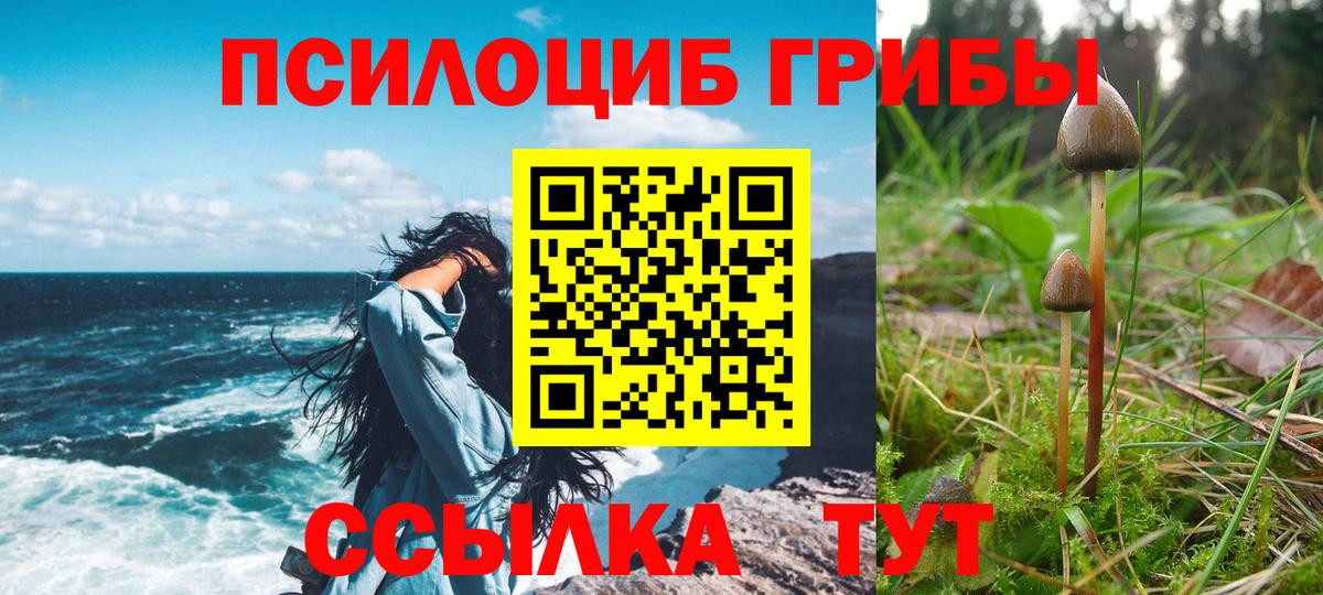 Красный Сулин  Псилоцибиновые грибы Psilocybe  Вход с VPN 